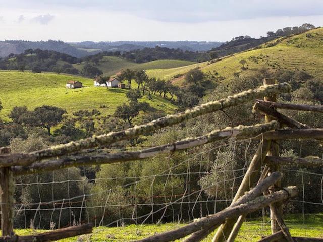 Monte Da Gravita Ribeira do Salto Екстер'єр фото